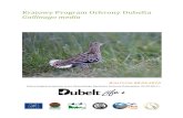 Krajowy Program Ochrony Dubelta Gallinago media Program Ochrony Dub… · Niniejszy program ochrony dubelta został przygotowany zgodnie z art. 57 ustawy z dnia 16 kwietnia 2004 r.