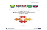Strategia Zintegrowanych Inwestycji Terytorialnych · 2017. 7. 17. · Projekt współfinansowany ze środków Unii Europejskiej w ramach Programu Operacyjnego Pomoc Techniczna 2007-2013