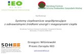 Systemy ciepłownicze współpracujące z odnawialnymi ...nfosigw.gov.pl/download/gfx/nfosigw/pl/nfoaktualnosci/15/1167/14/... · Systemy kolektorów słonecznych ciepłownie i elektrociepłownie