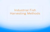 Industrial Fish Harvesting Methods Fish Harvesting.pdfOverfishing: Gone Fishing, Fish Gone ! Commercial extinction: no longer economically feasible to harvest a species ! Collapse