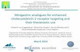 Minigastrin analogues for enhanced cholecystokinin-2 ...€¦ · DOTA DGlu Ala Tyr Gly Trp (N Me)Nle Asp 1 Nal NH New technology: Site-specific C-terminal modification DOTA-MGS5 min