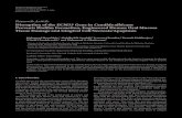 DisruptionoftheECM33GeneinCandidaalbicans ...downloads.hindawi.com/journals/mi/2012/398207.pdf · 2.3. Engineering Human Oral Mucosa Production. Gingival mucosa samples were biopsied