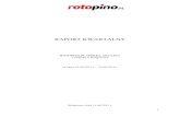 RAPORT KWARTALNY - Rotopinodlainwestorow.rotopino.pl/file/stock/report/407_2015-08-14 - Rotopino... · Kwartalne skrócone sprawozdanie finansowe Emitenta za II kwartał 2015 roku