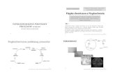 Fizyka chemiczna a Fizykochemiahome.agh.edu.pl/~graboska/doc/FPP-wyklad1_FizChem.pdf · POJĘCIA PODSTAWOWE UKŁAD – pewna część przyrody ( wszechświata ), która jest przedmiotem
