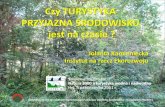PRZYJAZNA ŚRODOWISKUnatura2000.org.pl/wp-content/uploads/2011/12/Prezentacja_Kamieni… · Instytut na rzecz Ekorozwoju = wdrażanie zasad zrównoważonego rozwoju do praktyki To: