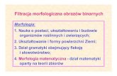 1. Nauka o postaci, ukształtowaniu i budowie organizmów ...eletel.p.lodz.pl/pstrumil/po/morfologia.pdfFiltracja morfologiczna obrazów binarnych Morfologia: 1. Nauka o postaci, ukształtowaniu
