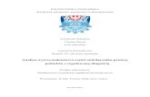 Analiza wytrzymałościowa części endołącznika protezyAnatomia człowieka. Podręcznik dla studentów i lekarzy, Wyd. 2, Podręcznik dla studentów i lekarzy, Wyd. 2, Elsevier