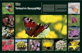 Türkiye’nin Biyoçeşitliliği...Türkiye’nin Biyoçeşitliliği Türkiye, bitki çeşitliliği açısından dünyanın zengin coğ-rafyalarından birinde yer alıyor. Dünya,