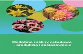 New Ozdobne rośliny cebulowekwiatycebulowe.pl/pliki/cebulowe.pdf · 2018. 4. 23. · Ozdobne rośliny cebulowe – produkcja i zastosowanie Str. 5 Rośliny e ulowe to pojęie o podwójnym