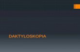 DAKTYLOSKOPIA - Uniwersytet Wrocławski · 2020. 4. 14. · Budowa linii papilarnych Identyfikacja daktyloskopijna jest związana z występowaniem w liniach papilarnych charakterystycznych