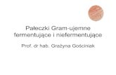 Pałeczki Gram-ujemne fermentujące i niefermentujące · 2020. 3. 30. · Pałeczki Gram-ujemne •Pałeczki fermentujące glukozę (często z wytworzeniem gazu) np. pałeczki jelitowe