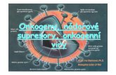 Onkogeny , nádorové supresory , onkogenní viry · 2006. 5. 4. · Onkogeny x tumor supresorové geny (protoonkogeny ) (antionkogeny ) zvýšená aktivita (aktivace, dominantní