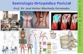 Semiologia Ortopédica Pericial · 10- Radiologia musculoesquelética 11- Estudo de casos semiológicos de pé e tornozelo 12- Apresentação de casos clínicos 13- Medscape – Artigos