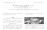 Dev Hiperosteotik Meningiom: Olgu Sunumunorosirurji.dergisi.org/pdf/pdf_TND_245.pdf · 2007. 3. 15. · Turk Noro;irurji Dergisi 5: 94 - 96, 1995 Kuzeyli: Hiperosteotik Meningiom