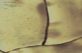 Nina Malterud brikke, øye, hud tablet, eye, skin 2017€¦ · Graphic design: Geir Goosen Print: Molvik Grafisk Paper: brikke/tablet øye/eye hud/skin hud (skål)/skin (bowl) Typography: