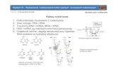 Kwasy nukleinowe - Politechnika Gdańska · 2014. 12. 2. · Przedmiot: Podstawy Biotechnologii Politechnika GdaTECHNOńska, LOGIA CHEMICZNAInżynieria Biomedyczna Wykład 10 –