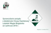 Sprawozdanie zarządu z działalności Grupy Kapitałowej Lubelski … · 2018. 9. 13. · SPRZEDAŻ WĘGLA (ILOŚĆ)-0,9% +13,5% PRODUKCJA NETTO-5,1% +4,7% PRZYCHODY ZE SPRZEDAŻY