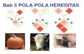 Bab 5 POLA-POLA HEREDITAS · Bab 5 Pola-Pola Hereditas Hukum II Mendel Pada waktu pembentukan gamet, alel-alel berbeda yang telah bersegregasi bebas akan bergabung secara bebas membentuk