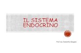 IL SISTEMA ENDOCRINO - FAD · 2020. 4. 22. · Microsoft PowerPoint - IL SISTEMA ENDOCRINO Author: Donatella Created Date: 4/22/2020 9:57:42 AM ...