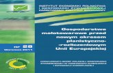 3 Raport 28 CALOŚCmak.wsfiz.edu.pl/RPW_b/28.pdf · 2012. 5. 16. · w zadaniu Nadwyki ekonomiczne z wybranych produktów rolniczych, ich bieca analiza i ocena skali oraz zakresu