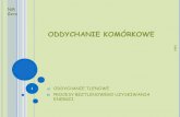 ODDYCHANIE KOMÓRKOWEarchiwum.4lo.gorzow.pl/files/ODDYCHANIE KOMORKOWEpopr... · 2018. 11. 30. · GLIKOLIZA etapy oddychania zwane glikolizą zachodzą w cytoplazmie podstawowej