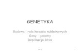 GENETYKAarchiwum.4lo.gorzow.pl/files/1) GENETYKA (3tematy) nmg.pdf · 2018. 11. 30. · GENETYKA Klasyczna ( Mendlowska) Molekularna • bada złożone procesy biokatalitycznych reakcji