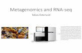 Metagenomics and RNA-seq - Chalmers · 2017. 2. 21. · Es tima o nf g e/ pathway abundance ... 1 1 1 1 1. How to normalize metagenomic data? R ... 34282 14379 13748 6133 12648 7620