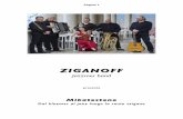 ZIGANOFF scheda Ziganoff... · 2013. 4. 14. · da Maestri quali Max Sommerhalder, Markus Stockhausen, Franco D'Andrea, Bruno Tommaso, Giancarlo Parodi. Nel 1998 ha vinto il secondo