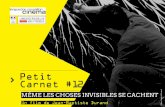 Petit Carnet #12 - Occitanie films...2014, à l’espace d’art contemporain de la Ville de Montpellier, le Carré Sainte-Anne, devient l’occasion de filmer Abdelkader Benchamma.