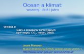 Ocean a klimatpiskozub/klimat/Klimat-wyklad2016-08.pdf · 2017. 2. 8. · Biosfera lądowa przyjmuje mniej CO 2 w miarę wzrostu temperatury (wzrost “oddychania gleby”) dlatego