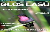 magazyn Głos Lasu - poznan.lasy.gov.pl › documents › 688373 › 24627761 › GL+… · magazyn pracowników |numer 6 (9) czerwiec 2014 regionalny dodatek do „głosu lasu”