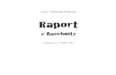 Raport z Auschwitz - nazwa.pl · 2018. 1. 30. · 6 Nęciłamniemyślprosta:wzburzyćumysły,poderwaćdoczynutęmasę.Współtowarzy-szowimemu–sławkowiszpakowskiemu(wiem,żeżyłdoczasuPowstaniawWarszawie
