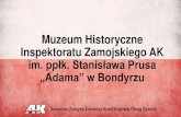 Muzeum Historyczne Inspektoratu Zamojskiego AK im. ppłk ... · Muzeum gromadzi i eksponuje militaria na podstawie Zaświadczenia nr L.dz.AZ-1243/79 wydanego dnia 19.12.1979 r. przez