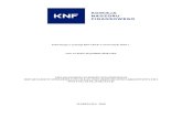 URZĄD KOMISJI NADZORU FINANSOWEGO...6 B. Krajowe instytucje płatnicze (KIP) I. Zezwolenia KNF na świadczenie usług płatniczych przez KIP W II kwartale 2018 r. KNF nie wydawała
