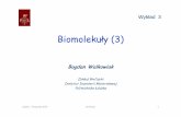 Biomolekuły (3) - Urząd Miasta Łodzibiofizyka.p.lodz.pl/prezentacje/wyklad_3_biomolekuly.pdf · 2014. 11. 12. · Biomolekuły (3) Bogdan Walkowiak Zakład Biofizyki Instytut Inżynierii