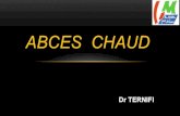 ABCES CHAUD - الموقع الأول للدراسة في الجزائرuniv.ency-education.com/uploads/1/3/1/0/13102001/semio3...ETIOLOGIE L’inoculation septique sous la peau est