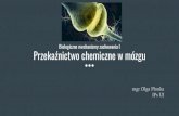Biologiczne mechanizmy zachowania I Przekaźnictwo chemiczne …zpf.psychologia.uj.edu.pl/biopsy/prezentacje/bmz1_cwicz06... · 2019. 12. 2. · Otto Loewi (1920) “Nerwy wysyłająinformacje