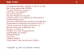 Spis treści -1coin.wne.uw.edu.pl/wincenciak/latex/sl-polonizacja.pdf · 2005. 10. 28. · Babel. Licencja LATEXa2"zabrania dodawania do formatu nowych poleceń — zestaw poleceń
