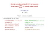 Kolizje kondensatów BEC i symulacja ijnej Piotr Deuar (IF PAN)info.ifpan.edu.pl/~deuar/talks/fuw2009.pdf · 2009. 10. 8. · Kolizje kondensatów BEC i symulacja mikroskop owej ijnej