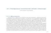 2.1. Patogeneza nowotworów układu chłonnegoonkologia.zalecenia.med.pl/pdf/zalecenia_PTOK_tom2_2.1... · 2020. 5. 20. · 2.1. Patogeneza nowotworów układu chłonnego 149 2.1.2.