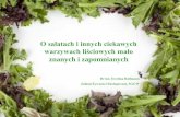 O sałatach i innych ciekawych warzywach liściowych małowszechnica_zywieniowa.sggw.pl/Prezentacje/2013/slajdy... · 2013. 5. 16. · W Babilonie królBaltazar podawałna swych ucztach
