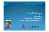 Świat RadioTitle: Microsoft PowerPoint - Red Pitaya.pptx Author: KDA Created Date: 7/28/2018 6:15:20 PM
