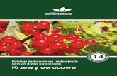 Kolekcja zachowawcza tradycyjnych odmian drzew …Malina omszona (Rubus strigosus) rośnie dziko w Ameryce Północnej, jest bardzo podobna do maliny właściwej. Malina czarna, malina