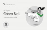 Six Sigma Green Belt...Szansa na wejście na ścieżkę certyfikacji Six Sigma Green Belt w Akademii Białego Kruka –jedynej w Polsce organizacji akredytowanej przez Council for