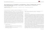 Benzophenone-3 Impairs Autophagy, Alters Epigenetic Status, and … · 2018. 5. 11. · of Hirschsprung’s disease in offspring [11]. However, data on the effects of BP-3 on the