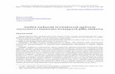 Analiza zachowań żywieniowych mężczyzn wyczynowo i …cejsh.icm.edu.pl/cejsh/element/bwmeta1.element.desklight... · 2020. 3. 31. · 94 Maria GACEK, Adam POPEK Wnioski: Wykazano