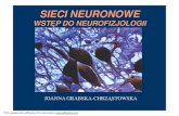 WSTĘP DO NEUROFIZJOLOGIIhome.agh.edu.pl/~asior/stud/doc/neurofizjologia_13.pdfBudowa wiernego modelu nawet pojedynczego neuronu (komórki Purkinjego) jest bardzo kosztowna (de Schutter’05)Do
