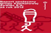 Raport społeczny Grupy Kapitałowej Żywiec S.A. za rok 2012raportyspoleczne.pl/wp-content/uploads/raports/07d4be7b... · 2013. 10. 24. · Grupa Kapitałowa Żywiec 3 w liczbach