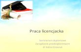 Seminarium dyplomowe dr Kalina Grzesiuk - KUL · 2. Ocena formalna c.d. •poprawność formułowania przypisów, w tym pełnych źródeł internetowych, •kompletność załączników