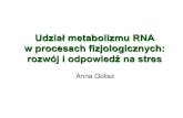 Udział metabolizmu RNA - IGiB...Loss-of-function zippy mutants prematurely express adult vegetative traits. ZIPPY encodes an ARGONAUTE protein, AGO7 Wild-type zippy Bollman, et al.